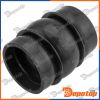 Gaine de suralimentation pour CITROEN | GPP-CT-004, 81794